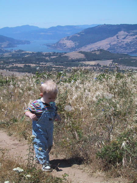 Jun 05 JVB Gorge 3.jpg